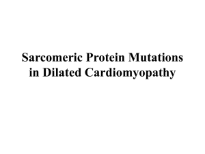 Sarcomeric Protein Mutations in Dilated Cardiomyopathy DCM