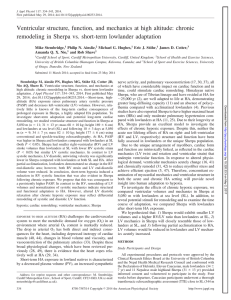 Ventricular structure, function, and mechanics at high altitude