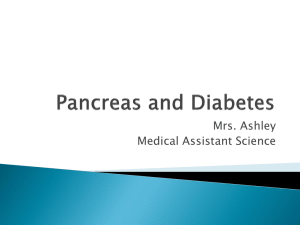 Pancreas - Schoolwires.net