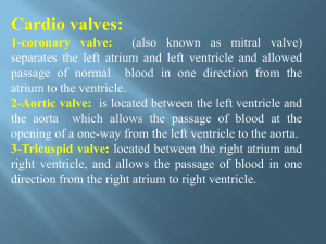 1-coronary valve