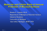 Mucosal Immunity - University of Michigan