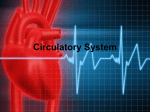 Circulatory System - Fall River Public Schools