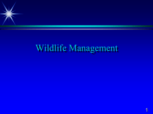 Wildlife Management - Petal School District