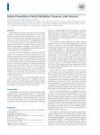 Stroke Prevention in Atrial Fibrillation: Focus on Latin America