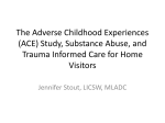 Adverse Childhood Experiences (ACE) Study and Inter