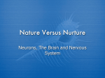 Nature Versus Nurture
