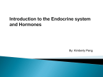Introduction to the endocrine system and hormones