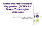Extracorporeal Membrane Oxygenation (ECMO) for Severe