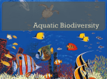 ch 8 aquatic biodiversity