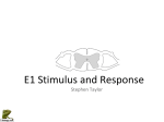 E1 Stimulus and Response