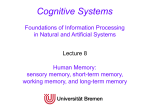 Memory and Reasoning - the Cognitive Systems Group