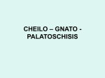 cheilo – gnato - palatoschisis