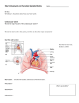 Heart Structure and Function Guided Notes