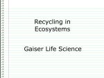 Recycling in Ecosystems