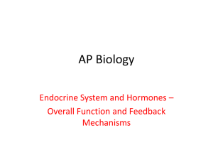 Endocrine System PPT