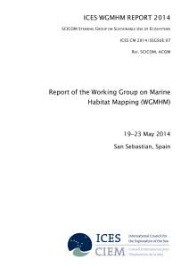 Report of the Working Group on Marine Habitat Mapping