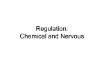 Regulation: Chemical and Nervous