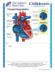 Normal Heart NOTES - Children`s Heart Clinic