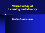 Neurobiology of Behavior and Cognition