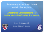 Pulmonary Atresia and intact ventricular septum: