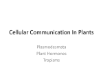 Plant Communication PPT