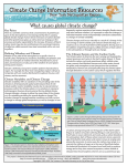 What causes global climate change?