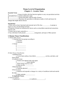 chapter 4 student notes
