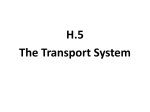H.5 - HL transport-system