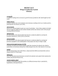 growth hormone (GH)