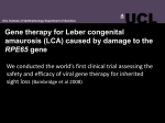 Gene therapy for Leber congenital amaurosis