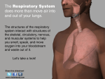 The Respiratory System does more than move air into and out of