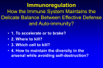 Immunoregulation How the immune system maintains the delicate