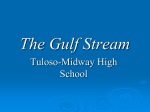 The Gulf Stream - Tuloso