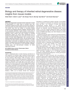 Biology and therapy of inherited retinal degenerative disease