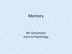 Memory - Intro to Psych: 4(AE)