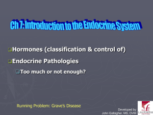 Chapter 7: Introduction to the Endocrine System