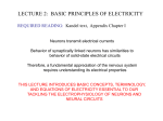 LECTURE.2.Electricity