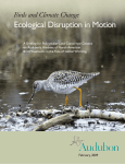 Ecological Disruption in Motion