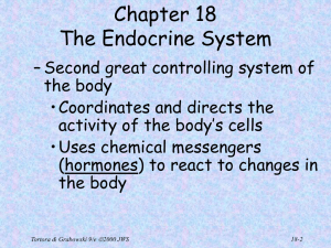 Endocrine System Power point use for study cards