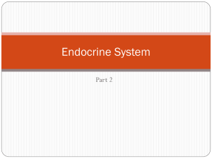 Encodocrine System Part Two