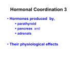 hormones 3