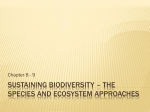 Sustaining Biodiversity – The species and Ecosystem approaches