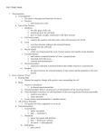 Unit 3 Study Guide