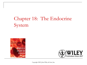 01 Endocrin Sys