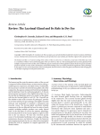 Review: The Lacrimal Gland and Its Role in Dry Eye