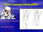 Don`t expand labial plate!