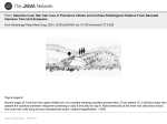 Selective Inner Hair Cell Loss in Premature Infants and Cochlea