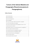 Tumors of the Adrenal Medulla and Paraganglia