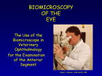 BIOMICROSCOPY OF THE EYE