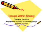Groups Within Society